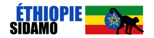 flag-ethiopie-sidamo